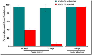 Avian Flu Diary: A Sexually Transmitted Disease Cure
